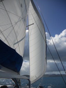 BVI 336